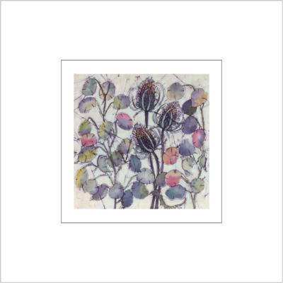 No.548 Honesty and Teasels - signed Small Print.